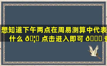 想知道下午两点在周易测算中代表什么 🦉 点击进入即可 🐘 查询！